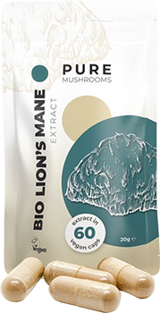 Lion's Mane Extract Capsules